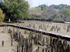 -河姆渡遗址博物馆