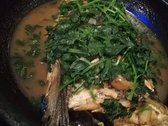 招牌鱼头泡饭-茉莉餐厅(包河万达店)