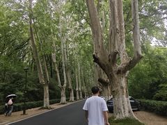 -灵谷景区
