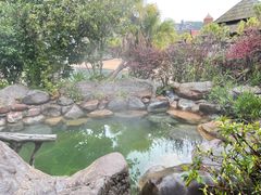 -天芳悦潭度假村温泉