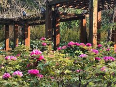 -幕燕滨江·长江观音景区