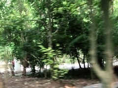 -东平国家森林公园