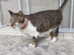 -ID.PHOTO照相馆(嘉里企业中心店)