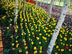 -长春公园(普阳街道)