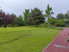 -绿堤公园