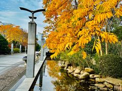 -上海科技馆(地铁站)