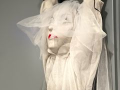 -爪吧宠物乐园 (温榆河示范区店)