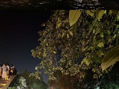 -乌镇景区