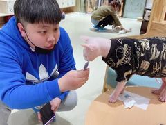 -藏猫猫咖啡主题馆(中央大道店)