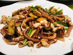 姜葱炒八爪鱼-海鲜e族(马王堆店)