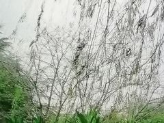 -堤角公园