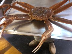 -綱元·海鲜豆捞(明州里店)