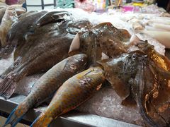 鱼-班赞海鲜市场