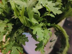 -大龙燚火锅(南山大道店)