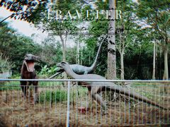 -广东花都香草世界旅游度假区