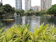 -晓港公园