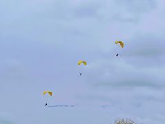 -苏州太湖湖滨国家湿地公园