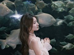 -南昌融创海世界