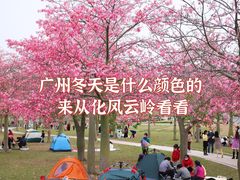 -风云岭森林公园