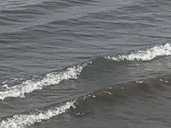 -呼兰河口湿地公园