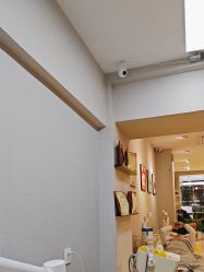 -洗脸猫·洗脸吧