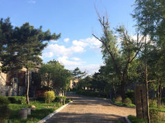 iphone_upload_pic-爱新觉罗皇家博物院