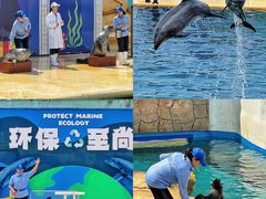 -秦皇岛乐岛海洋王国