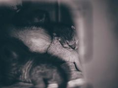 -隹木咖啡馆(宝龙广场店)