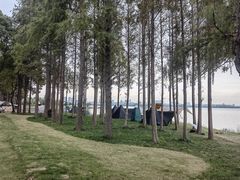 -金蔷薇·湖景庭院餐厅(环湖店)