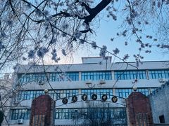 -桃花堤公园