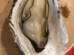 -广州希尔顿逸林酒店-OPEN開·全日制餐厅·海鲜·小火锅·自助餐(东风路店)