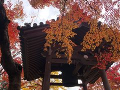 -常寂光寺