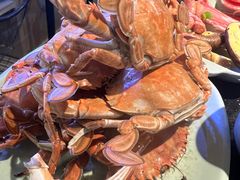 -韩盛炭火烤肉(万达广场店)