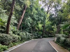 -北极阁公园