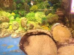 -聚龙酒家(富豪花园店)