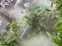 -墨居上隐·院子里火锅(峨眉店)