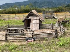 -溪口-滕头旅游景区
