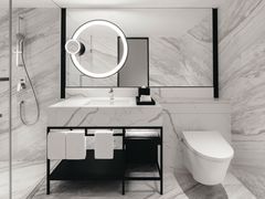 -新加坡乌节希尔顿酒店 (SG Clean)