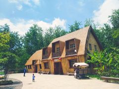 -合肥滨湖国家森林公园