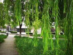 -廊坊文化艺术中心