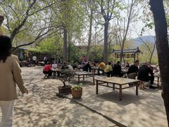 -二当家山庄(崮五路店)