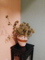 -香秀空间科技抗衰·美容中心