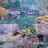 常德｜我走入了陶渊明笔下"桃花源记"的世界