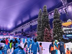 -世界之窗阿尔卑斯冰雪世界