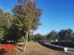 -长春公园(普阳街道)