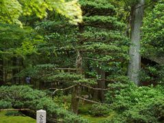 -西芳寺(苔寺)