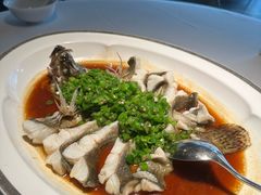 -许家菜(望江店)