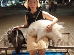 -清迈夜间动物园