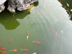 -海宁市观音寺