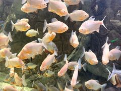 -多彩贵州城极地海洋世界